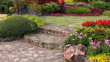 A Homeowner’s Guide to Planning a Successful Landscape Design